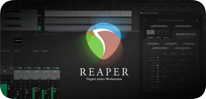 宿主Cockos Reaper 7.41-雨泽资源音频网